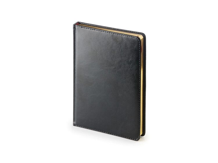 Подарочный набор: Ручка перьевая Parker Jotter Stainless Steel GT и Ежедневник черный недатированный