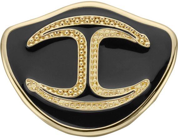 Брошь, жен., латунь, ионное покрытие золотом, стразы из стекла, Just Cavalli JCBH00970500 Брошь, жен., латунь, ионное покрытие золотом, стразы из стекла, Just Cavalli JCBH00970500