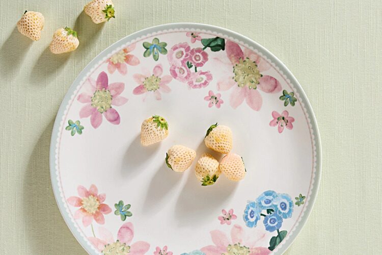 Блюдо Maxwell & Williams, 32 см, фарфор P, круглое, белое, Примула, Primula