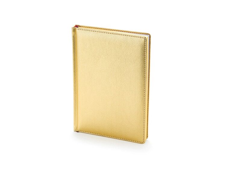 Подарочный набор: Ручка перьевая Parker Jotter Stainless Steel GT и Ежедневник золотистый недатирова