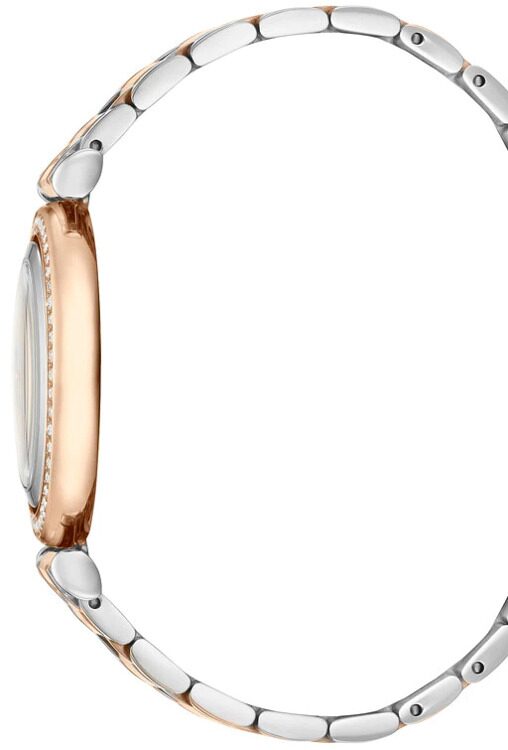 Наручные часы Ted Baker TE50521004